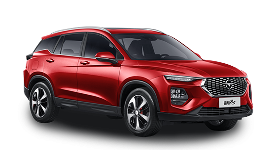 Haima 8S